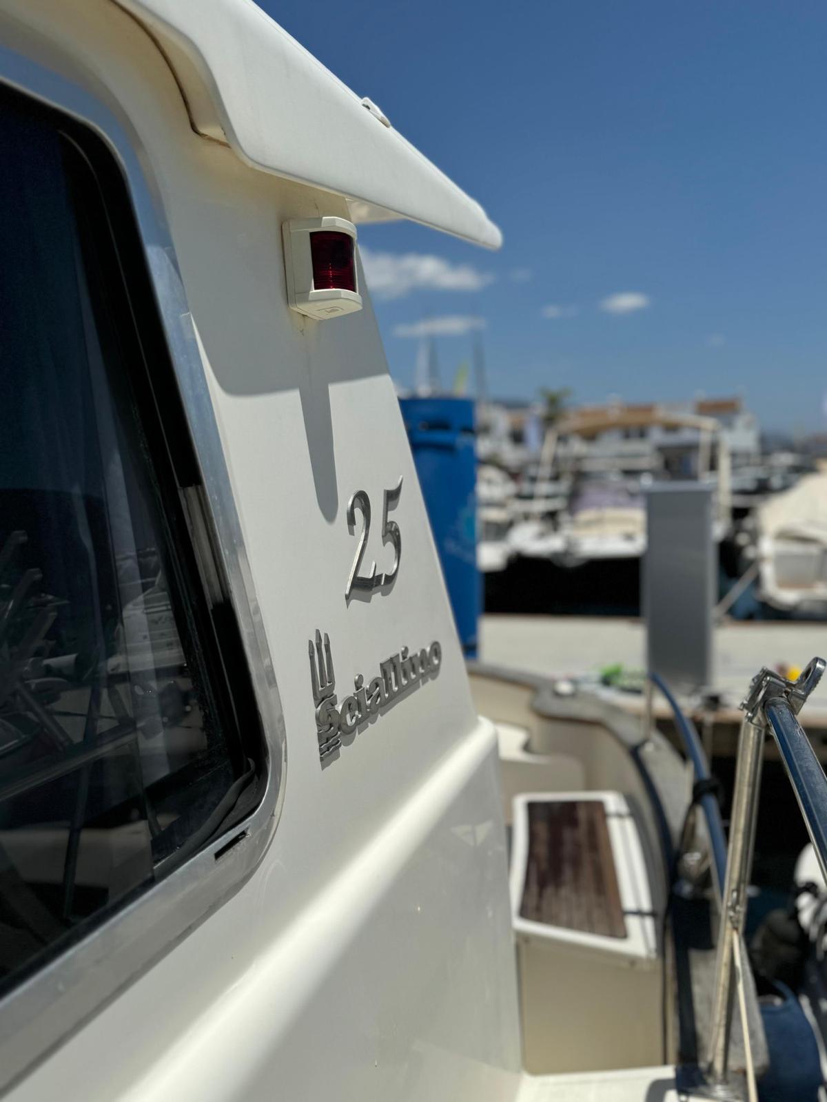 Amura en Puerto Banús
